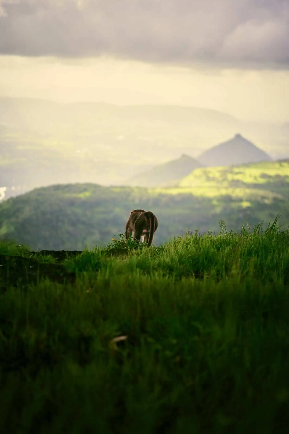 matheran
